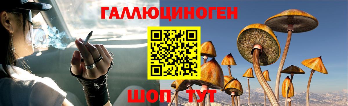 Галлюциногенные грибы Magic Shrooms Черногорск